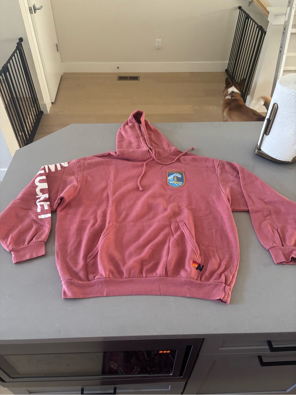 Aviator Nation Nantucket Hoodie